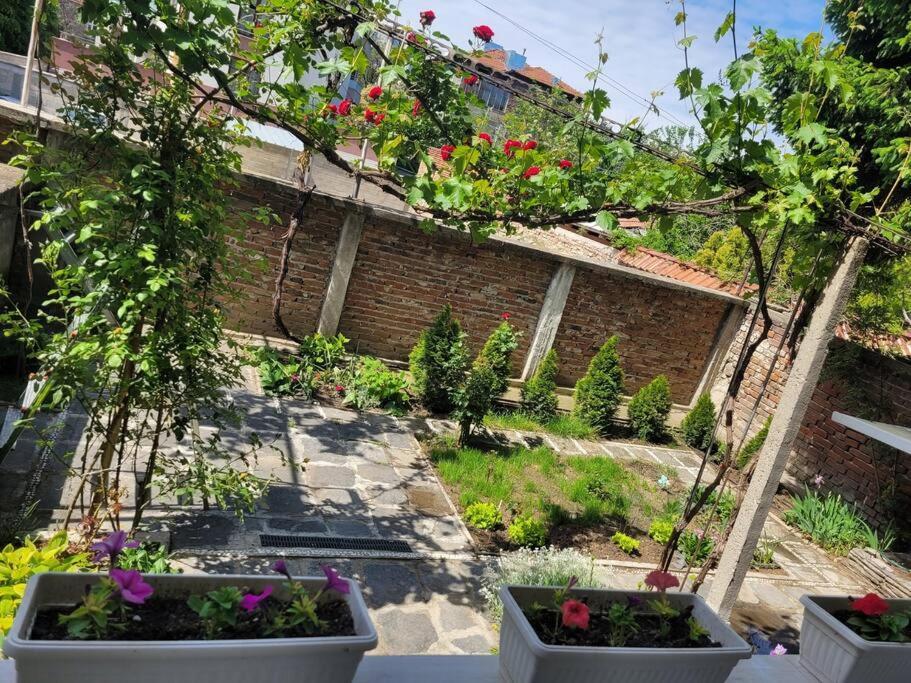 Plovdiv Top Center 2 Bdrm Apartment, 5Min From Central Square & Garden, Free Parking Extérieur photo